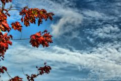 herbstliche Wunder