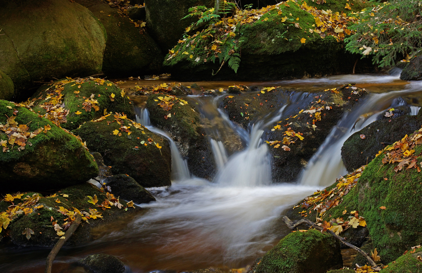 Herbstliche Ysperklamm