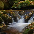 Herbstliche Ysperklamm