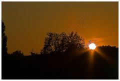 Herbstliche Zeichen