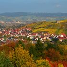 Herbstlichen Farben