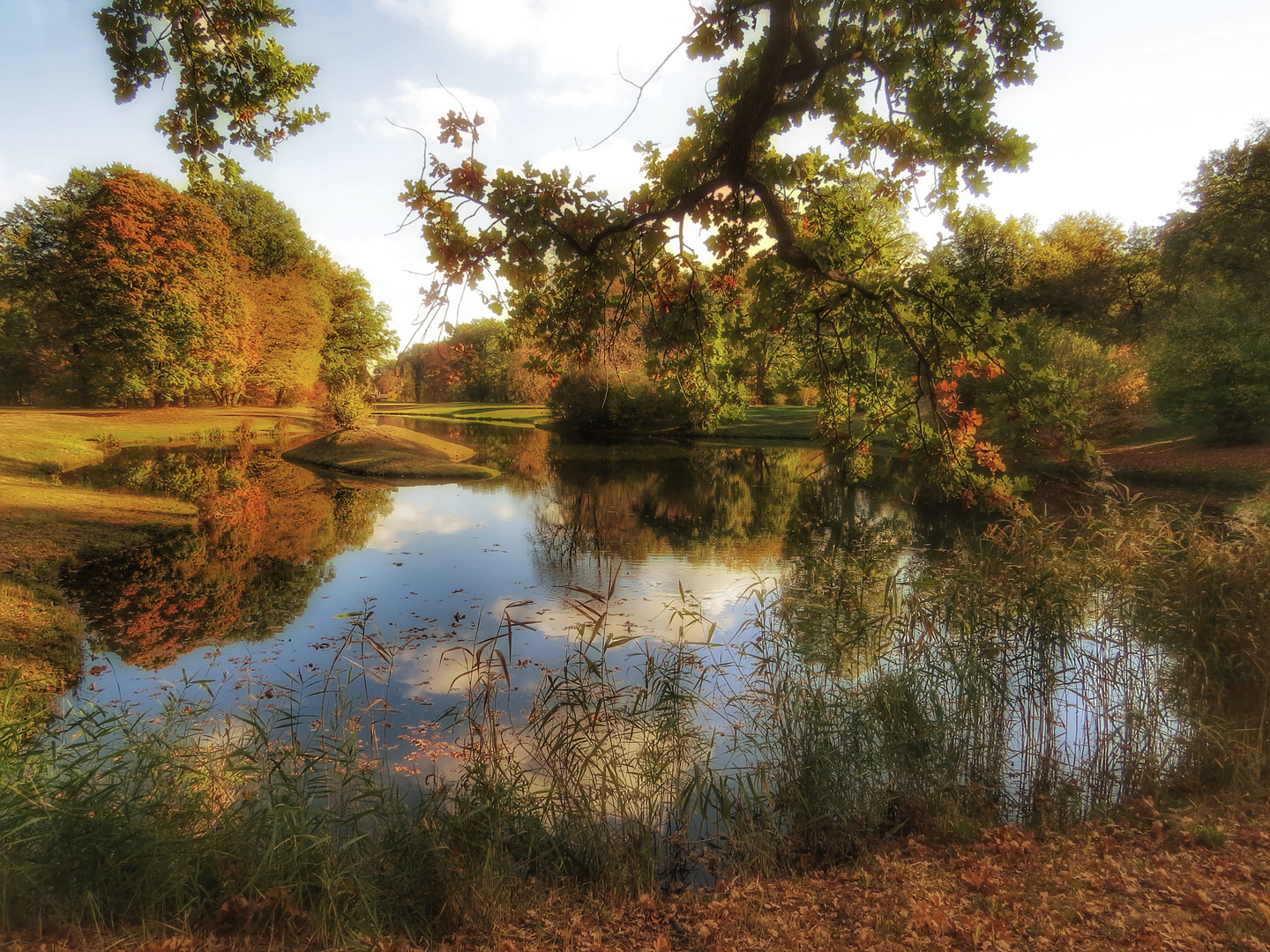 Herbstlichen Farbenzauber im Branitzpark 