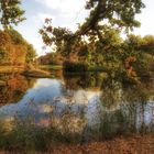 Herbstlichen Farbenzauber im Branitzpark 