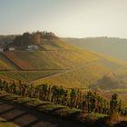 Herbstlichen Sonnenschein