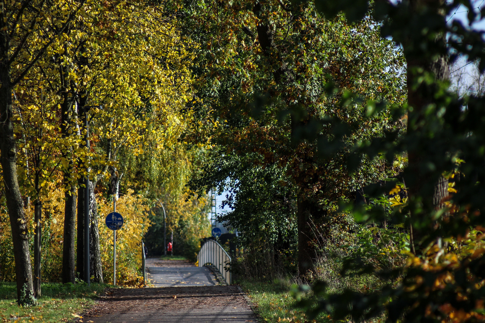 Herbstlicher ...