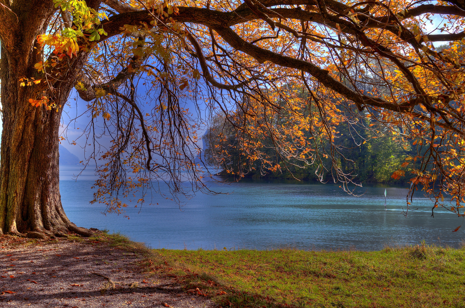 Herbstlicher...