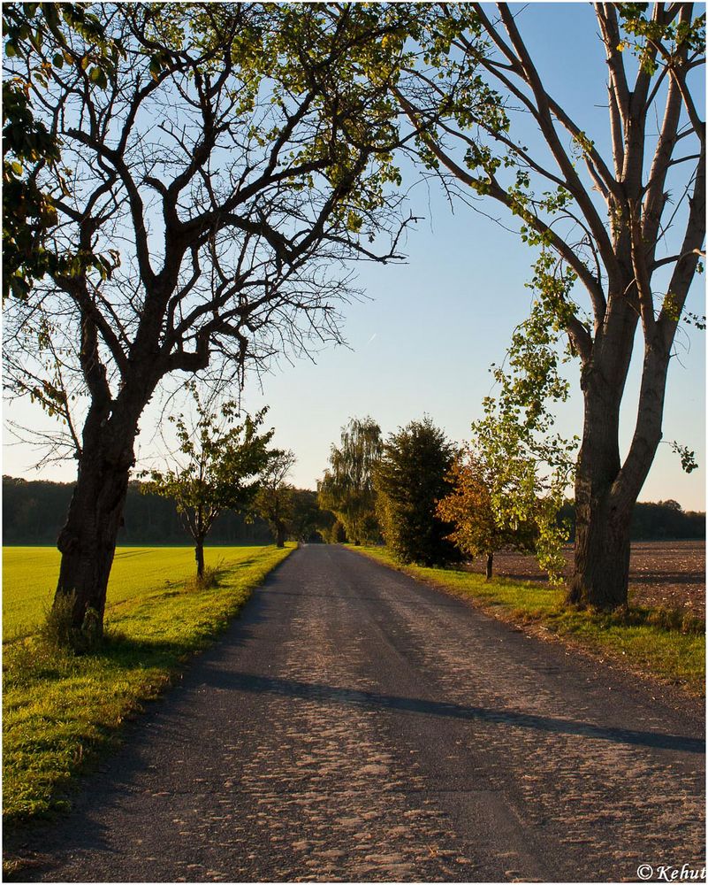 Herbstlicher Abend