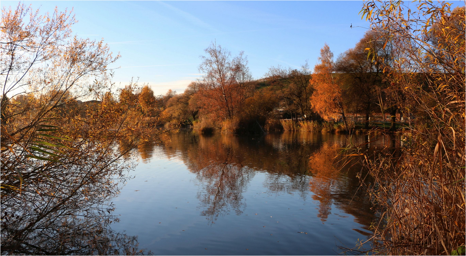 Herbstlicher Abend am Weiher....