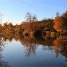 Herbstlicher Abend am Weiher....