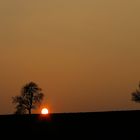 herbstlicher Abend im Odenwald