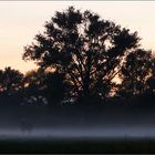 Herbstlicher Abendspaziergang