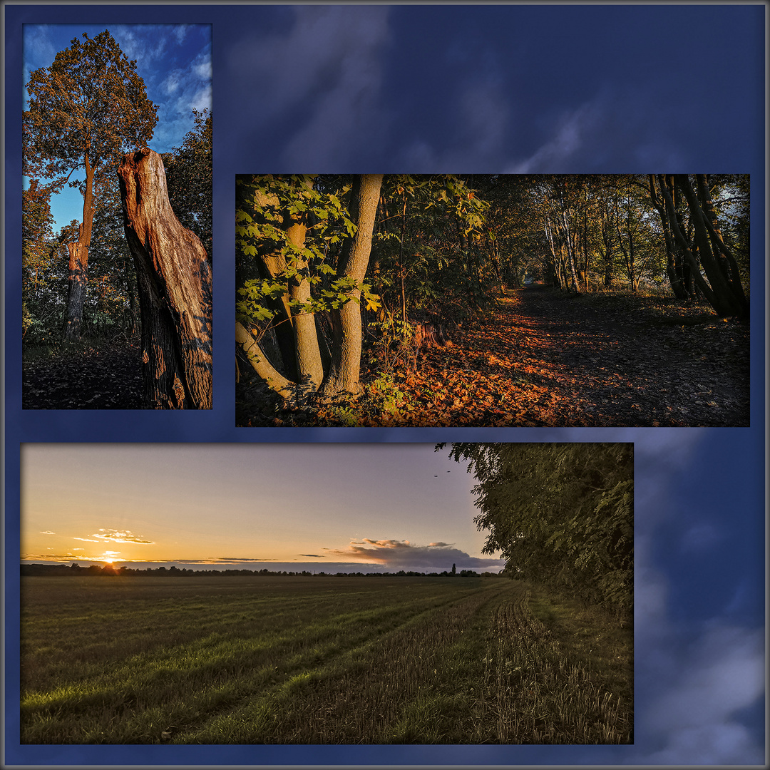 Herbstlicher Abendspaziergang