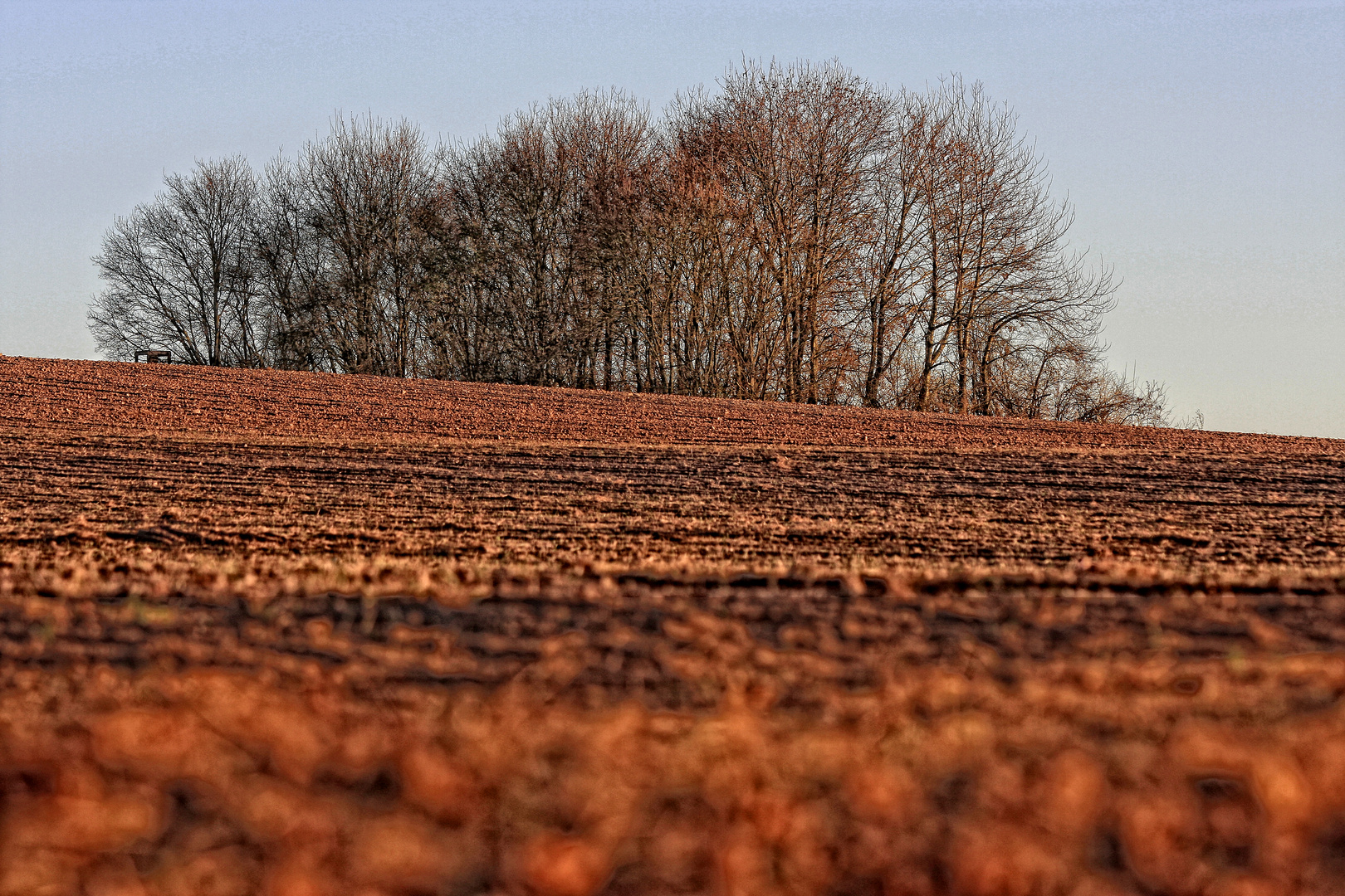 Herbstlicher Acker bei Hahnbach