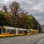 Herbstlicher Aeschengraben