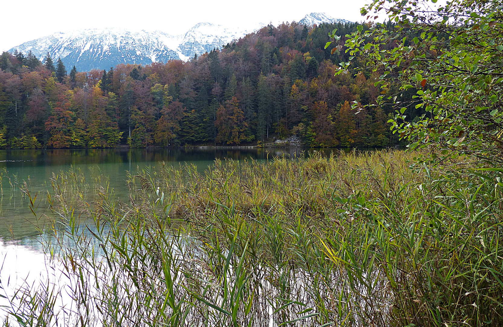 Herbstlicher Alatsee