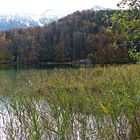 Herbstlicher Alatsee