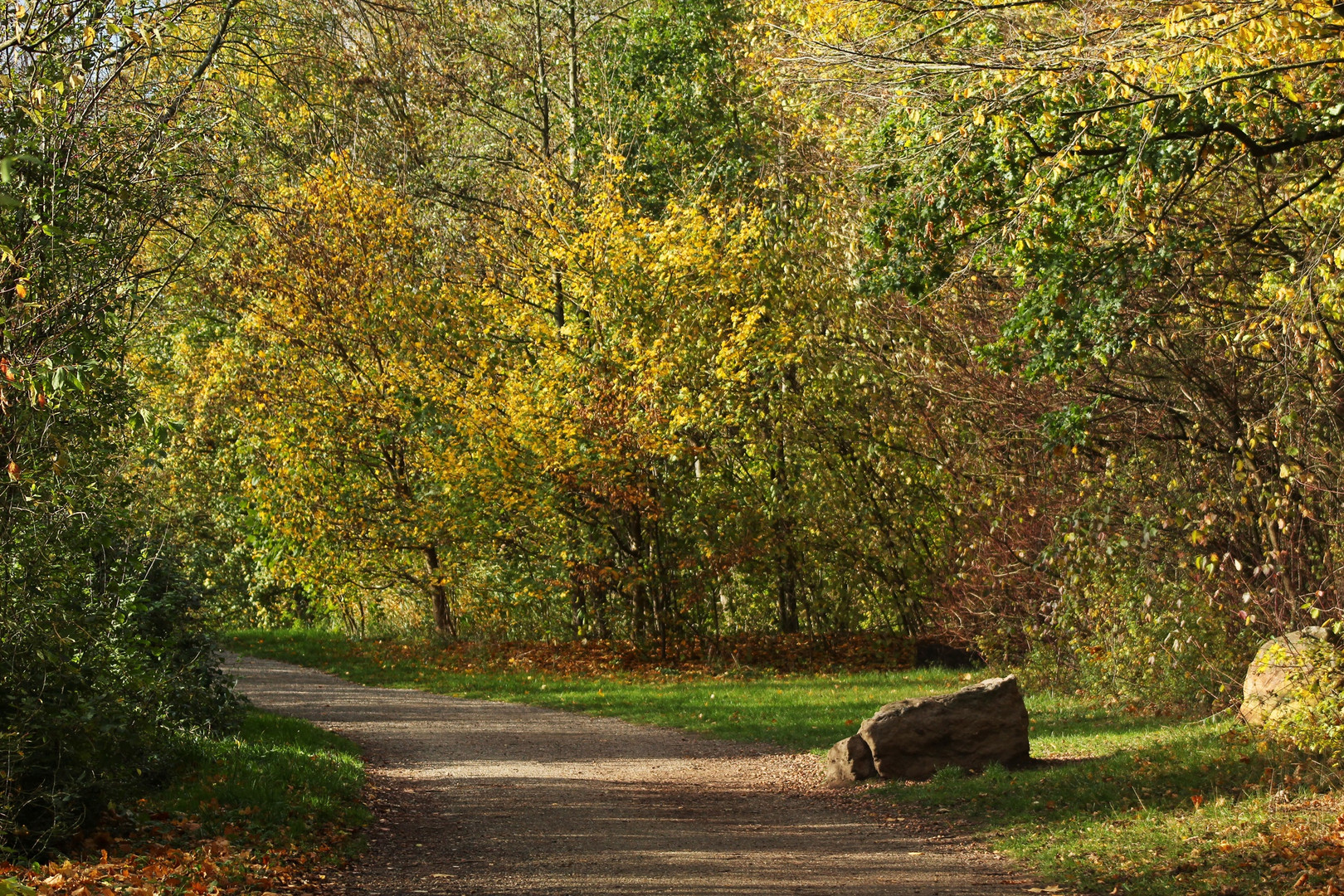 Herbstlicher Anblick