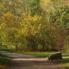 Herbstlicher Anblick