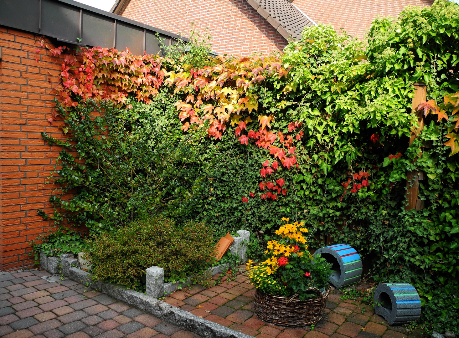 Herbstlicher Anblick vor unserer Haustür