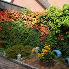 Herbstlicher Anblick vor unserer Haustür