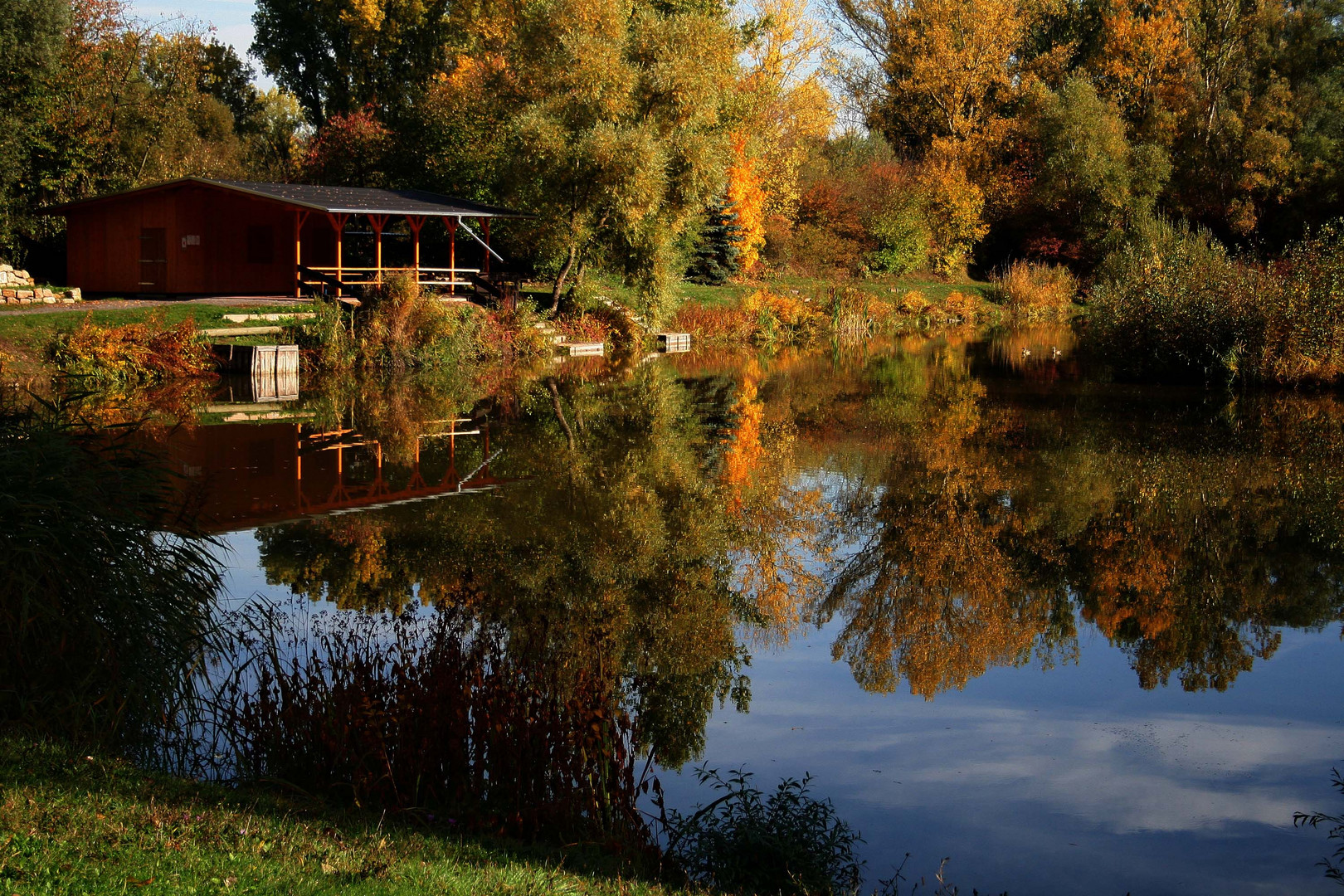 Herbstlicher Angelweiher