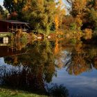 Herbstlicher Angelweiher