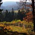 Herbstlicher Arnsberger Wald