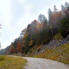 Herbstlicher Aufstieg zum Herzogstand am Walchensee