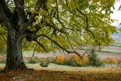 Herbstlicher Ausblick 