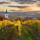 Herbstlicher Ausblick