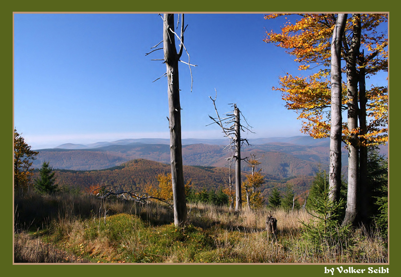 Herbstlicher Ausblick