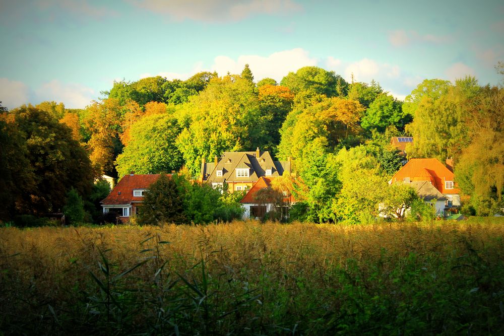 Herbstlicher Ausblick