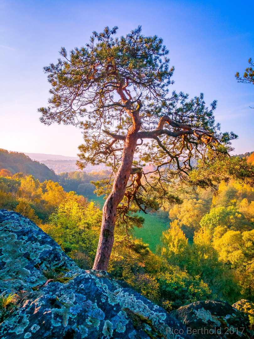 Herbstlicher Ausblick. 