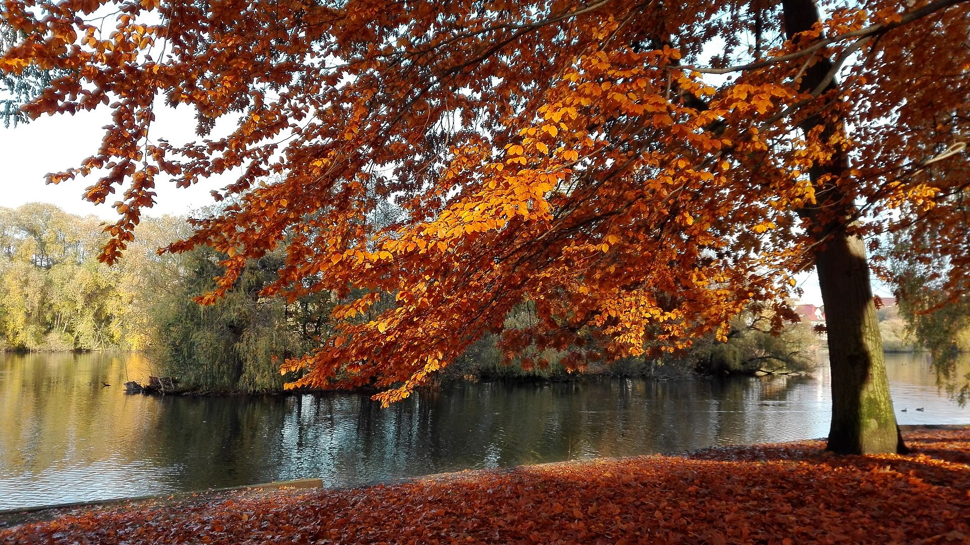 herbstlicher Ausblick