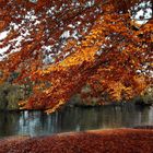 herbstlicher Ausblick