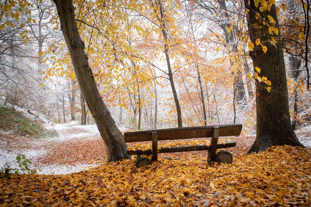 Herbstlicher Ausblick auf den Winter