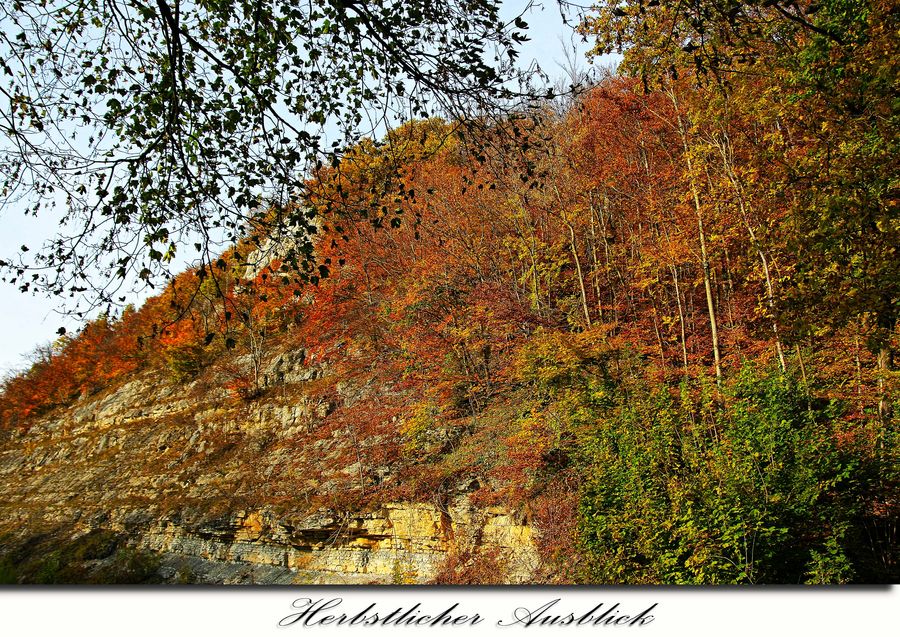 Herbstlicher Ausblick