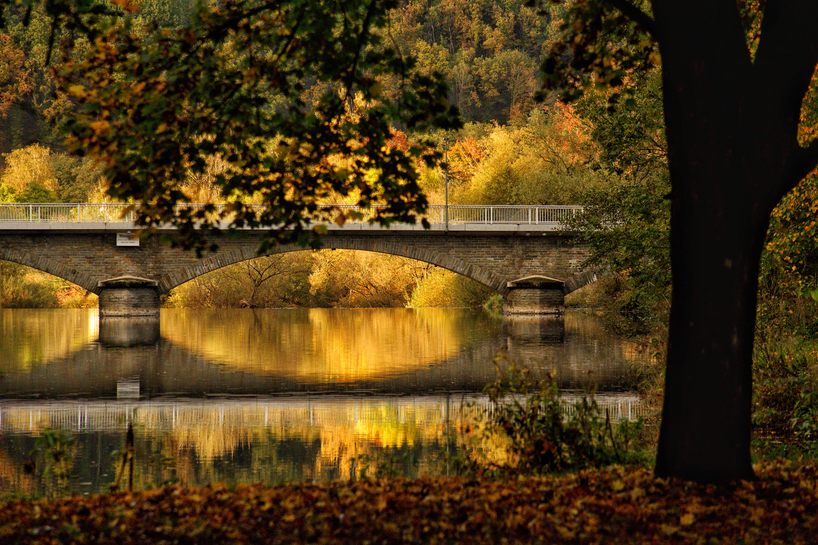 Herbstlicher Ausblick 