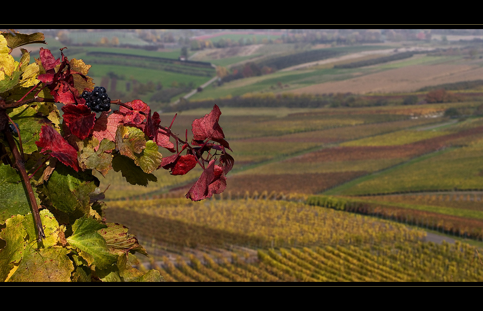 herbstlicher Ausblick II