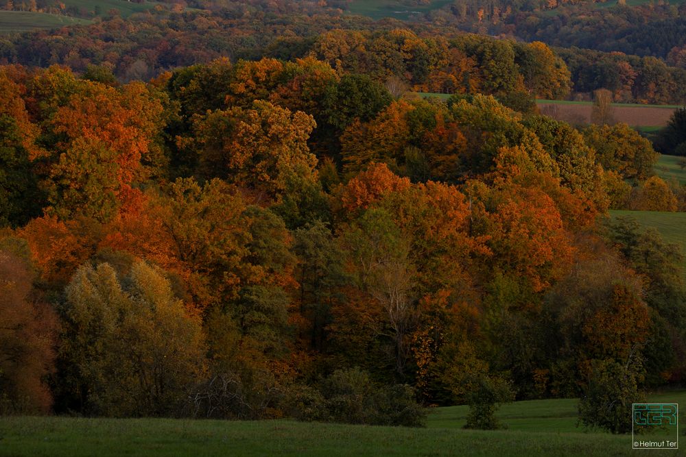 Herbstlicher Ausblick kurz vor Sonnenuntergang