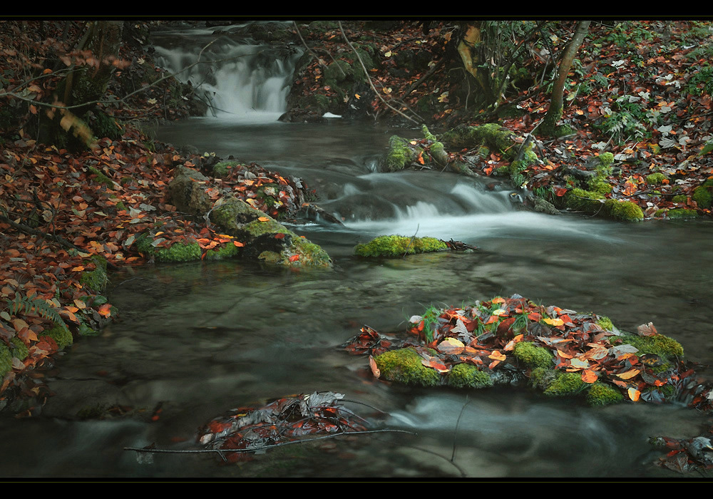 Herbstlicher Bach