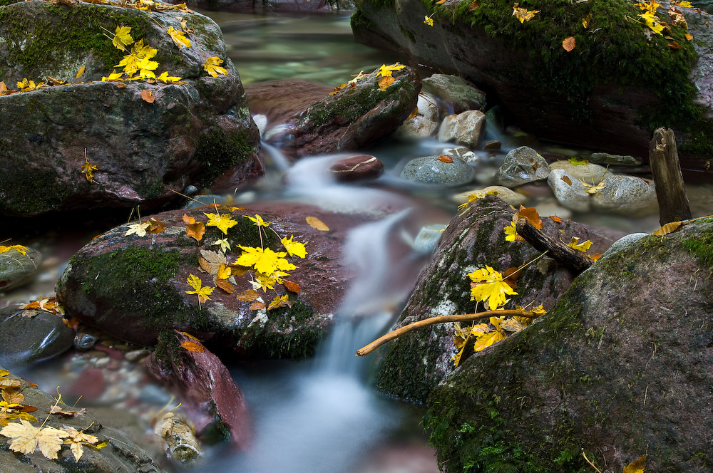 Herbstlicher Bach