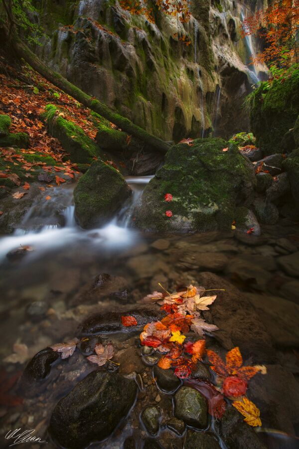 Herbstlicher Bach