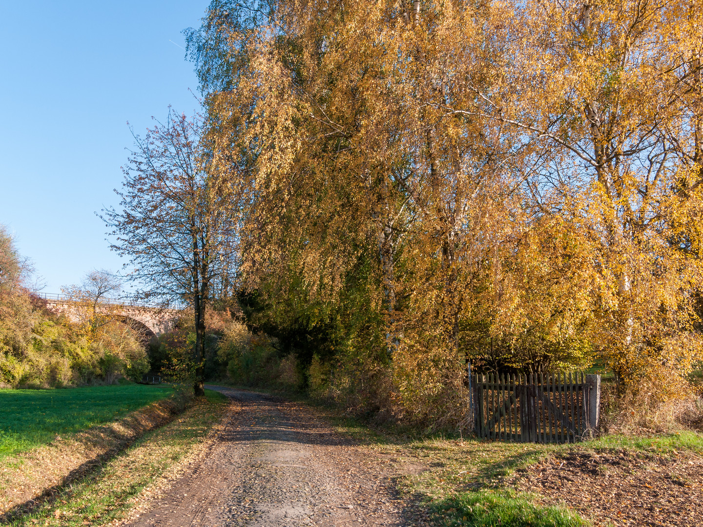 herbstlicher Bachgau 287