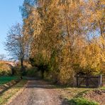 herbstlicher Bachgau 287