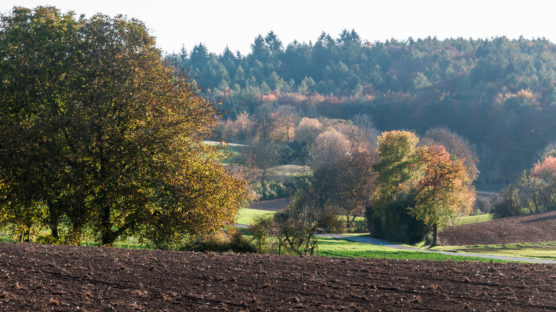 herbstlicher Bachgau 288