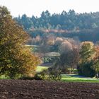 herbstlicher Bachgau 288