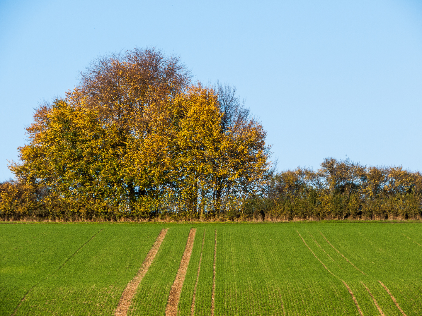 herbstlicher Bachgau 310