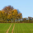 herbstlicher Bachgau 310