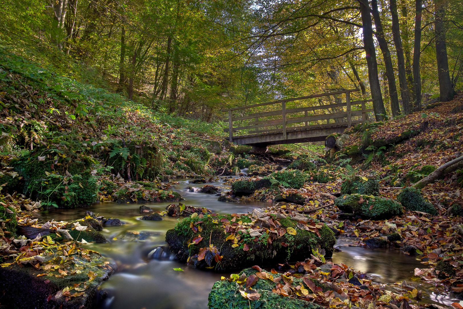 Herbstlicher Bachlauf 1/10